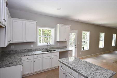 New construction Single-Family house 113 Goldin Rd, Temple, GA 30179 null- photo 9 9