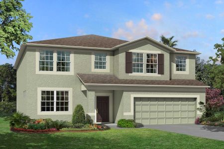 New construction Single-Family house 4969 Eagle Rock Dr, Wimauma, FL 33598 null- photo 1 1