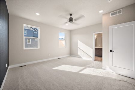 New construction Single-Family house 3077 Curly Grove, Colorado Springs, CO 80922 plan Primrose - image 18