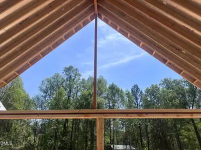 New construction Single-Family house 181 Westhampton Dr, Pittsboro, NC 27312 - image