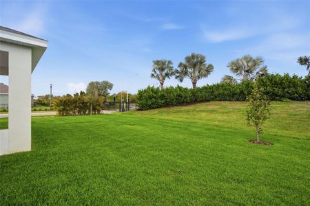 New construction Single-Family house 11830 Richmond Trl, Parrish, FL 34219 plan Brighton 3.0 - image 19