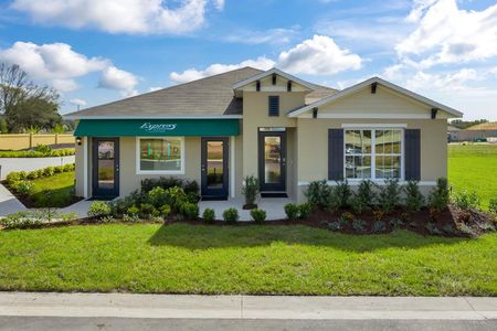 New construction Single-Family house 5297 Greenheart Avenue, Mount Dora, FL 32757 - photo 0