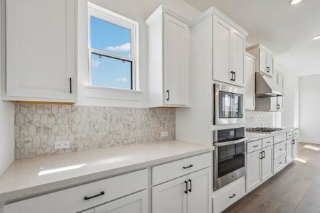 New construction Single-Family house 213 Borrego Bnd, Liberty Hill, TX 78642 plan Parmer - image 13