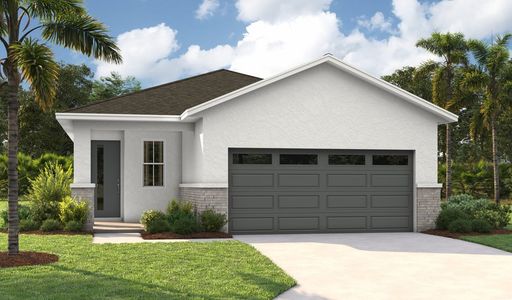 New construction Single-Family house 5909 Jensen View Ave, Apollo Beach, FL 33572 Beech- photo 0