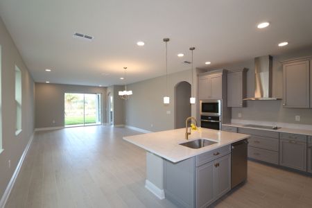 New construction Single-Family house 31229 Denham Ridge Ln, Wesley Chapel, FL 33545 Newport II- photo 88 88