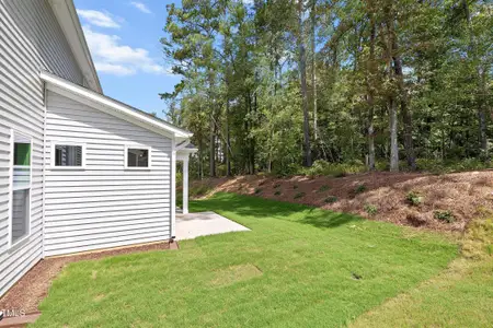 New construction Single-Family house 9168 Dupree Meadow Dr, Angier, NC 27501 plan The Hampton - image 3