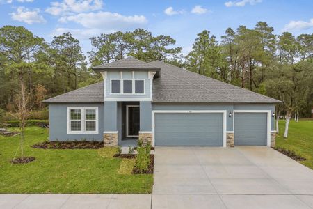 New construction Single-Family house Spring Hill, Brooksville, FL 34613 - photo 0