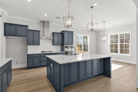 New construction Single-Family house 141 Rickys Path, Easley, SC 29642 plan Patterson II - image 4