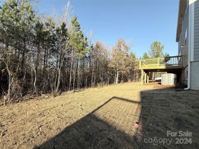 Wooded backyard