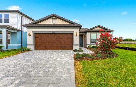 New construction Single-Family house 6607 Asbury Barnes Ln, Wesley Chapel, FL 33545 plan Medina - image