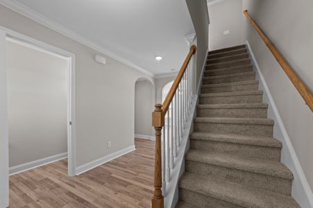 New construction Single-Family house 613 Plymouth Dr, Greenville, NC 27858 plan Rockbridge - image 14