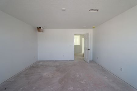 New construction Single-Family house 4877 Foxglove Cir, Lakeland, FL 33811 Alenza- photo 103 103