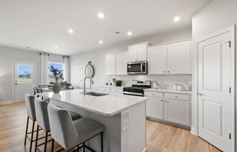 New construction Single-Family house Ball Ground, GA 30107 plan Vanderlyn - image