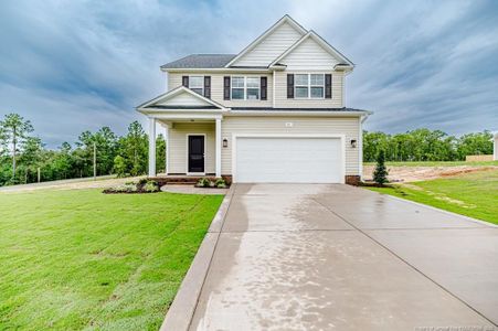 New construction Single-Family house 21 Blackgum Ct, Spring Lake, NC 28390 - image