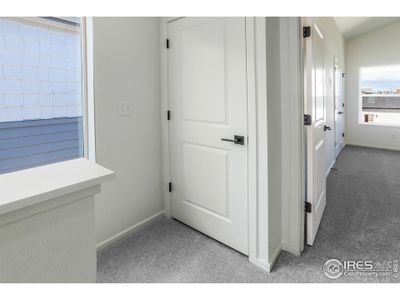 New construction Single-Family house 3254 Crusader St Ft, Fort Collins, CO 80524 - image 11