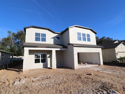 New construction Single-Family house 12008 Hilltop Farms Dr, Dade City, FL 33525 Alenza- photo 89 89