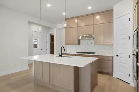 New construction Single-Family house 19608 Domino Champ Rd, Pflugerville, TX 78660 - image 11