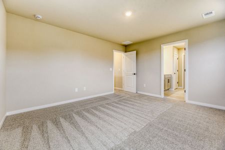 New construction Single-Family house 13791 Daffodil Wy, Parker, CO 80134 plan Braeburn - image 19