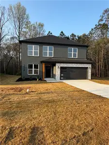 New construction Single-Family house 224 Galway Ln, Hampton, GA 30228 - image