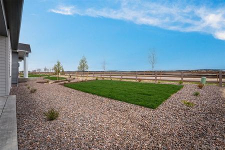 New construction Single-Family house 6678 Thimble Ct, Colorado Springs, CO 80924 plan The Ivyglen - image