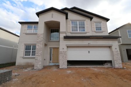 New construction Single-Family house 38338 Tobiano Loop, Dade City, FL 33525 Mira Lago- photo 105 105