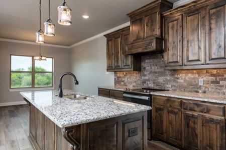 New construction Single-Family house Paradise, TX 76073 null- photo 12 12