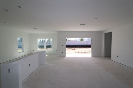 New construction Single-Family house 38350 Tobiano Loop, Dade City, FL 33525 Cabo- photo 68 68