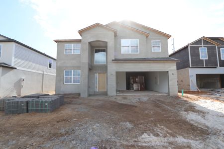 New construction Single-Family house 38338 Tobiano Loop, Dade City, FL 33525 Mira Lago- photo 74 74