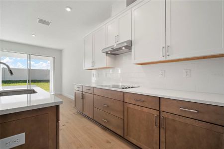 New construction Single-Family house 2945 Stewart Creek Cir, Plant City, FL 33565 plan Belmar - image 11