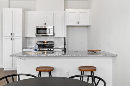 New construction Condo house 1811 Webberville Rd, Unit 1209, Austin, TX 78721 - image 5