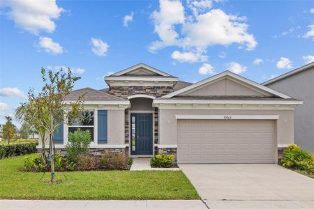 New construction Single-Family house 32003 Conchshell Sail Street, Wesley Chapel, FL 33545 Lantana- photo 0