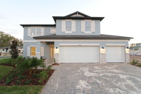 New construction Single-Family house 20288 Oriana Loop, Land O' Lakes, FL 34638 Coronado II- photo 102 102