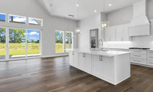 New construction Single-Family house 3511 Harvest Wy, Princeton, TX 75407 plan Jefferson - image 4