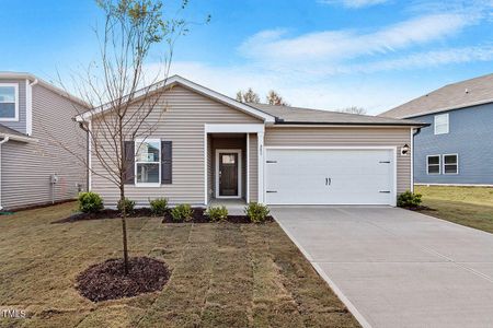 New construction Single-Family house 283 White Birch Lane, Angier, NC 27501 Chandler- photo 0