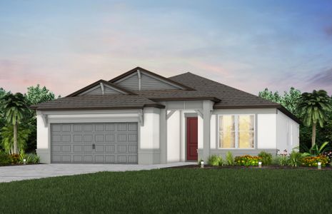 New construction Single-Family house 20876 Drake Elm Dr, Land O' Lakes, FL 34638 null- photo 1 1