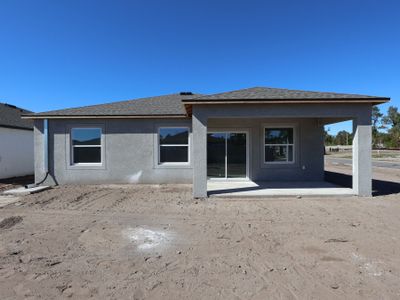 New construction Single-Family house 2912 Quinault Pl, Wimauma, FL 33598 plan Sentinel - image