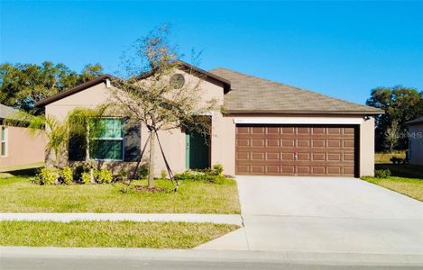 New construction Single-Family house 6743 Bar S Bar Trail, Zephyrhills, FL 33541 - photo 0