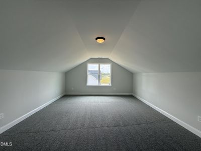 New construction Single-Family house 53 Sundrops Trl, Dunn, NC 28334 - image 19