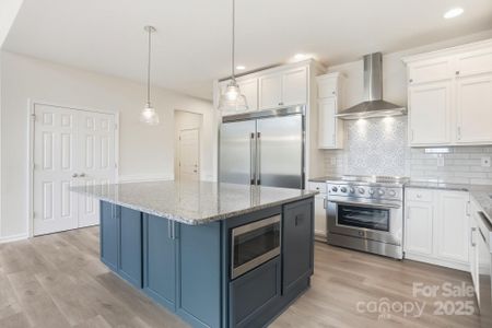 New construction Single-Family house 17909 Wilbanks Dr, Charlotte, NC 28278 - image 17