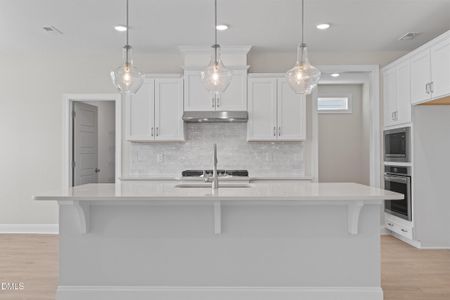 New construction Single-Family house 3204 Balcon Ct, Angier, NC 27501 - image 13