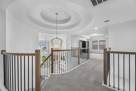 New construction Single-Family house 41719 Big Red Dr, Todd Mission, TX 77316 plan The Carter IX - image