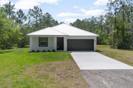 New construction Single-Family house 4253 Fruitwood Ave, Bunnell, FL 32110 - image