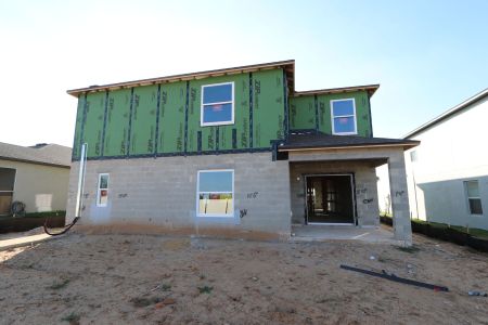 New construction Single-Family house 12294 Hilltop Farms Dr, Dade City, FL 33525 Malibu- photo 67 67