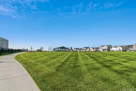 New construction Single-Family house 5863 Sawdust Dr, Brighton, CO 80601 null- photo 14 14