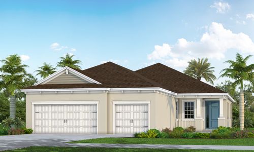 New construction Single-Family house 10025 Hammock Brook Dr, Parrish, FL 34219 null- photo 0