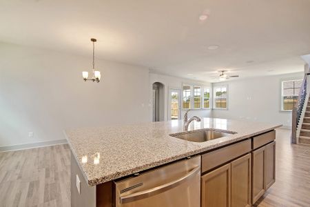 New construction Single-Family house 427 State Road S-8-357, Moncks Corner, SC 29461 plan Harrington - image 11