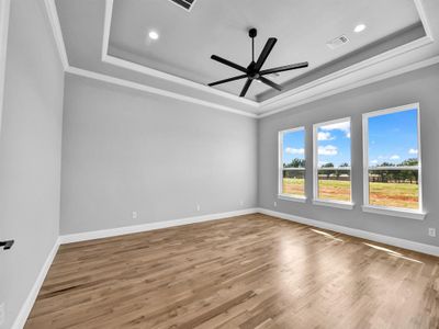 New construction Single-Family house 477 Royal Santana Run, Brock, TX 76087 - photo 26 26