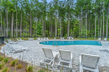 New construction Single-Family house 476 Rowley Lane, Summerville, SC 29486 Nantahala- photo 42 42