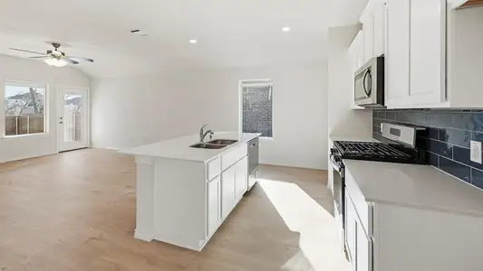 New construction Single-Family house 1309 Rusted Rail Dr, Princeton, TX 75407 plan Orion - image