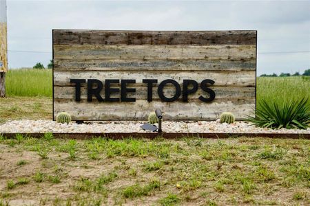 New construction Single-Family house 322 Vineyard View Trl, Carmine, TX 78932 null- photo 0